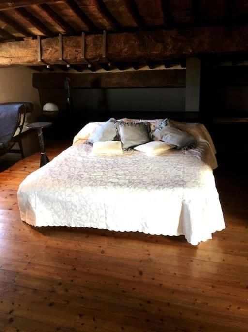 Romantic Studio In The Historical Heart Of ปาโดวา ภายนอก รูปภาพ